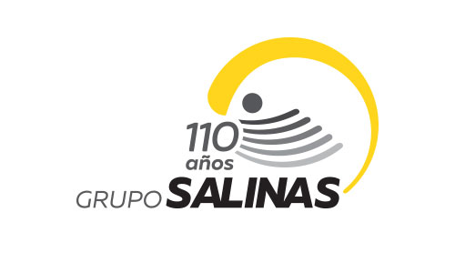 Grupo-Salinas.jpg